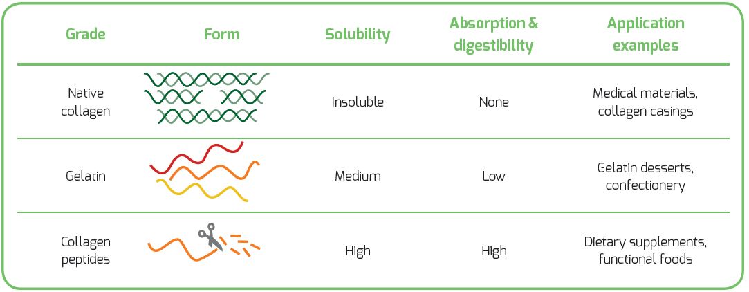 differences grades of collagen